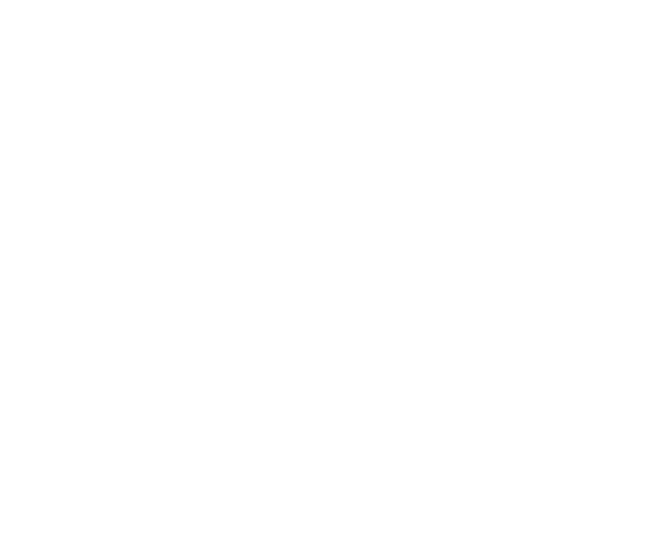 Fintra Solution